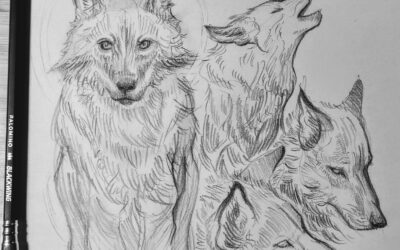 Notes From The Common: January 2025